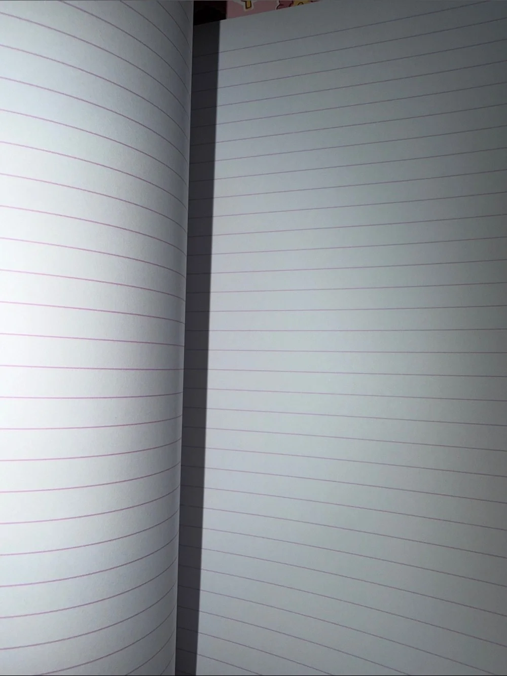 Dog Notebook Set-Various lined paper, matching Bow Pen, 2 Folders, Comp Book